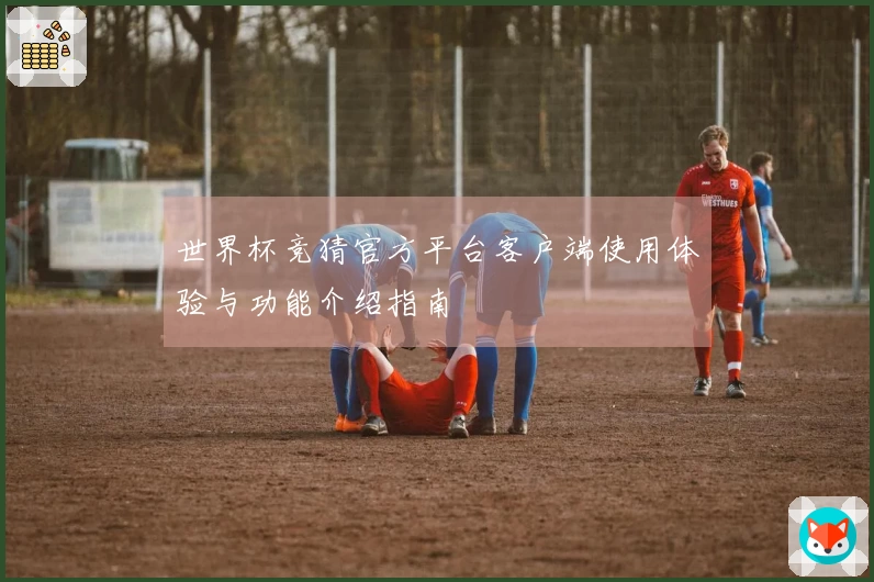世界杯竞猜官方平台客户端使用体验与功能介绍指南
