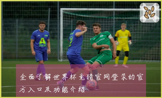 全面了解世界杯竞猜官网登录的官方入口及功能介绍