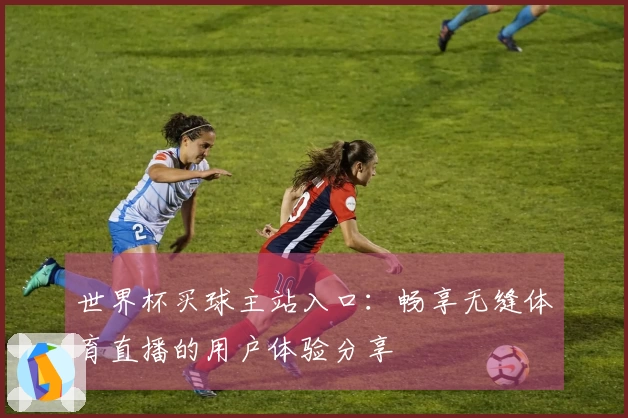 世界杯买球主站入口：畅享无缝体育直播的用户体验分享