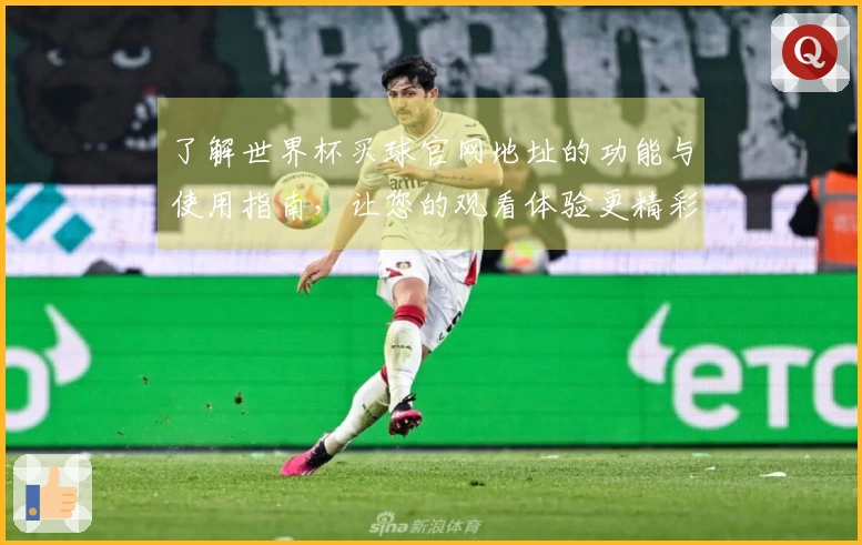 了解世界杯买球官网地址的功能与使用指南,让您的观看体验更精彩