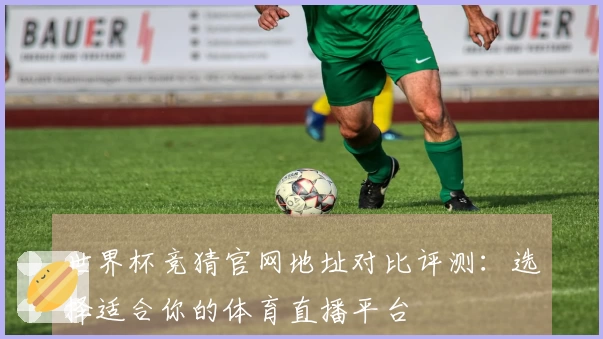 世界杯竞猜官网地址对比评测：选择适合你的体育直播平台
